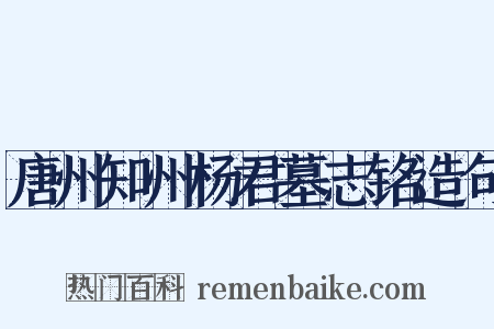 唐州知州杨君墓志铭造句是什么意思的图片